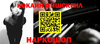 дмт Кингисепп