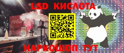 стаф Кинель