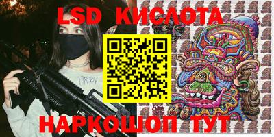 стаф Кинель