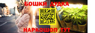 дмт Кингисепп
