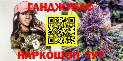 дмт Кингисепп