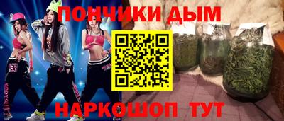 дмт Кингисепп