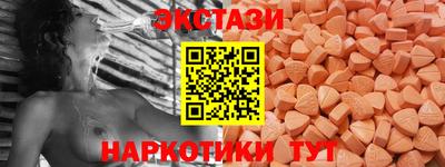 дмт Кингисепп
