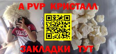 дмт Кингисепп