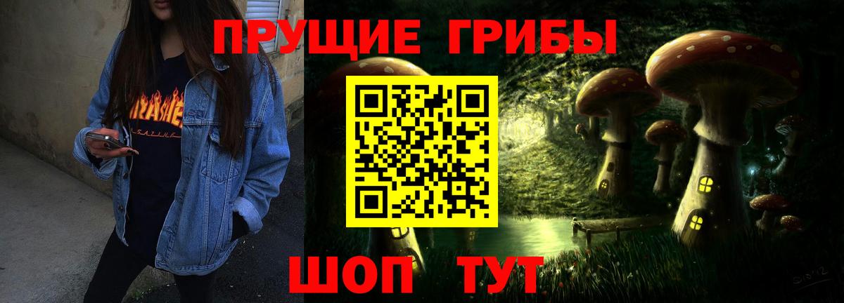 Псилоцибиновые грибы GOLDEN TEACHER Каменск-Шахтинский
